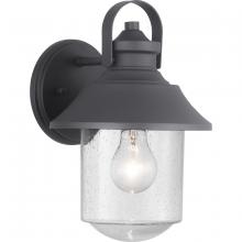 Progress P560120-031 - Weldon Collection One-Light Medium Wall Lantern