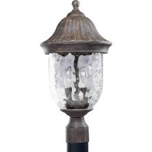 Progress P5429-87 - Coventry Collection Two-Light Post Lantern