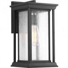 Progress P5610-31 - Endicott Collection One-Light Medium Wall Lantern