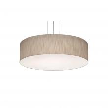 AFX Lighting, Inc. ANP1932MBSN-JT - Anton 19'' Med Base Pendant - SN and JT