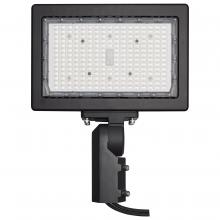 Nuvo 65/619R1 - LED Flood Light; 150 Watt; 4000K; Bronze Finish